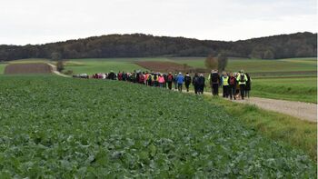 25. Martinov pohod - okusno doživetje jeseni 