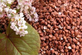 Poletni sobotni večer - etno-kulinarična prireditev na temo ajde 