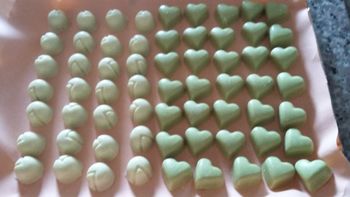 Hiša Tara in čebelarstvo