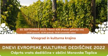 Iz globin panonskega morja ... vinograd in kulturna krajina ... 