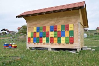 Spoznajte Medene zgodbe - Dan odprtih vrat čebelarske kmetije Anzeljc