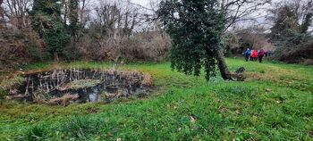 Po Komenskem Krasu, 4. 12. 2025 Po Komenskem Krasu, 4. 12. 2025