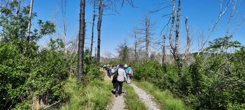 Kostanjevica - Cerje, 22. 4. 2026