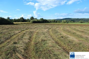 Pticam in drugim živalim prilagojena košnja na Planinskem polju izvedena tudi letos