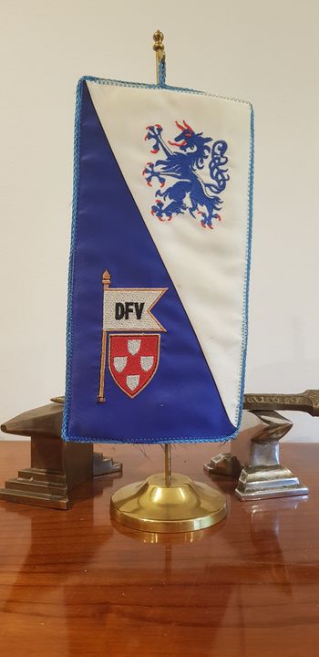 Ob 10. obletnici ustanovitve in dela Društva dolanskih fantov – DFV