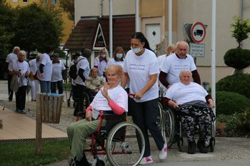 Aktivnosti v tem tednu