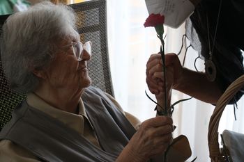 Iskrena čestitka Iskrena čestitka