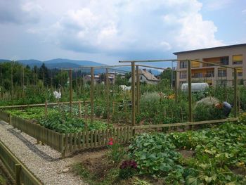 Radoživa samooskrba Radoživa samooskrba