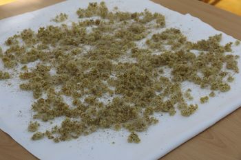 Moč naravnih sestavin