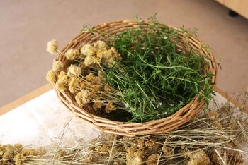 Priprave na naš najpomembnejši dogodek