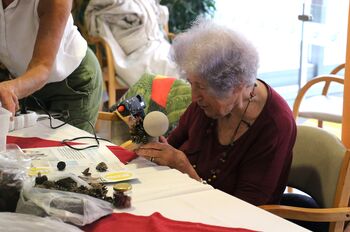 Srčne prostovoljke Srčne prostovoljke