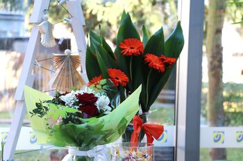 Novembrski slavljenci, vse najboljše! 