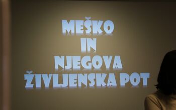Literarno doživetje Literarno doživetje