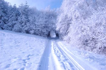 Zimska služba na javnih poteh na območju Občine Vojnik v obdobju od 2022 do 2025