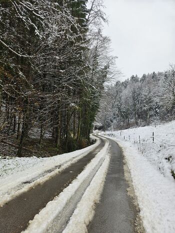 Zimska služba na javnih poteh na območju Občine Vojnik v obdobju od 2025 do 2028