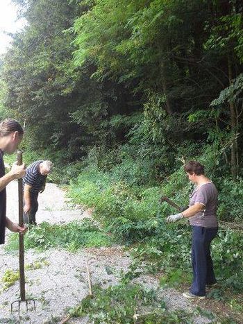 Delovna akcija na Malem Lukovcu