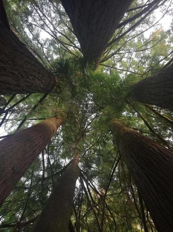 AKTIVACIJA DUHOVNEGA SRCA