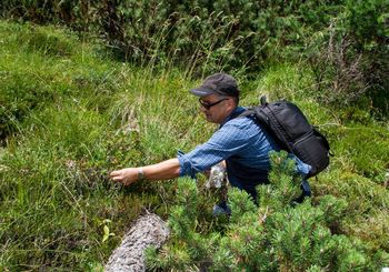 Predavanje z naslovom: Kakšen bo slovenski gozd prihodnosti?