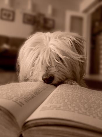 NAGRADNI FOTO NATEČAJ 