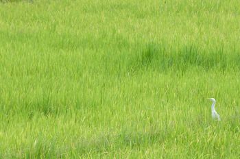 Potopisno predavanje  Mateja Koširja Filipini – skrivnostna dežela prijaznih ljudi