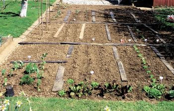 Strokovno predavanje Nevenke Breznik Beton: SPOMLADANSKA OPRAVILA V ZELENJAVNEM VRTU