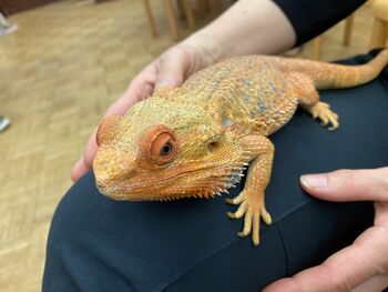 BLOG: PRAVLJIČNA KNJIŽNICA