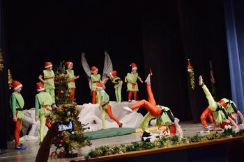 Telovadci Športnega društva Partizan Sevnica navdušili s predstavo