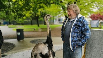 Video novica: Fontana piv Zeleno zlato privabila tudi nanduja