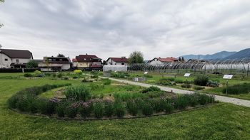 15. dnevi odprtih vrat v Vrtu zdravilnih in aromatičnih rastlin