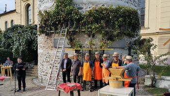 video novica: Trgatev trte Nikolaje pri obrambnem stolpu v Žalcu