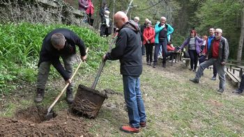 Video novica: Pred Jamo Pekel ob dnevu zemlje posadili drevo in predstavili novo osvetljitev jame