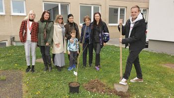 Video novica: Rotary klub Žalec v mestu posadil medovite rastline