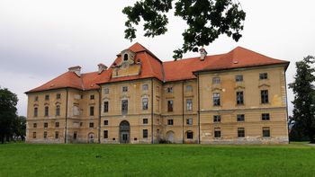 Video novica: Predstavitev monografije o dvorcu Novo Celje