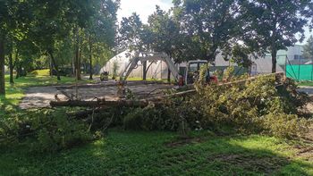 Video novica: V Športnem centru Žalec pričeli z izgradnjo nogometnega igrišča z umetno travo