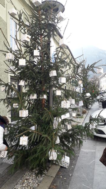 DECEMBRSKI UTRIP V ODI