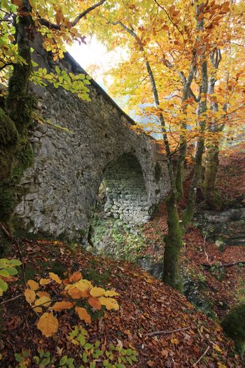 Zakladi Stare Fužine