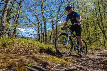 Kolesarski izlet - Top trails of Bohinj