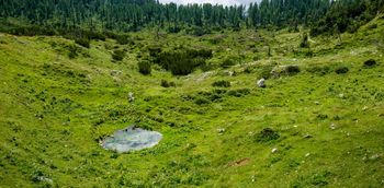 TEMATSKO STROKOVNO VODENJE PO FUŽINSKIH PLANINAH