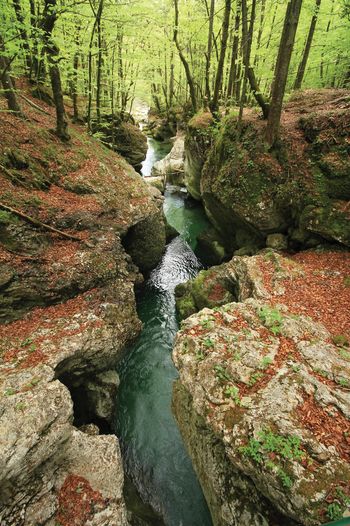 Z VODNIKOM SKOZI KORITA MOSTNICE