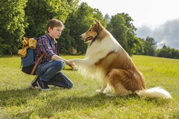 LASSIE - KINO POD TRIGLAVOM