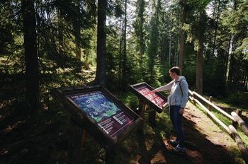 Vodenje po prenovljeni učni poti barje Goreljek