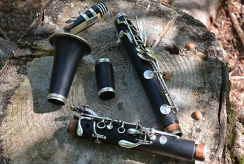 ŠTALA NA RANČU MRCINA - KLARINETKANJE