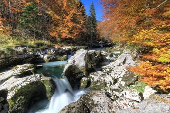 Voden sprehod skozi korita Mostnice za družine