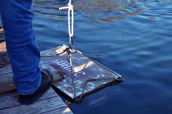 Potop in dvig Bohinca iz Bohinjskega jezera