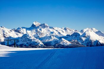 Tekma za Pokal Vogla