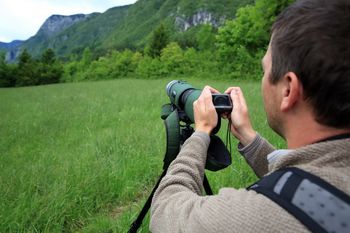 Ornitološko vodenje s Tomažem Miheličem