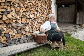 Od stogov do Oplenove hiše
