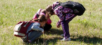 Kaj tam cveti? - otroški botanični sprehod