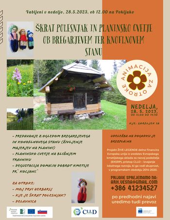 Škrat Polesnjak in planinsko cvetje ob Bregarjevem in Knoflnovem stanu