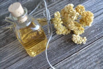 Delavnica: Izdelava maceratov iz lokalnih rastlin - ODPOVEDANO!